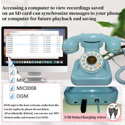 USB รองรับ Guest Book โทรศัพท์ Button ออกแบบ Voicemail ออดิโอ Guest Book ODM