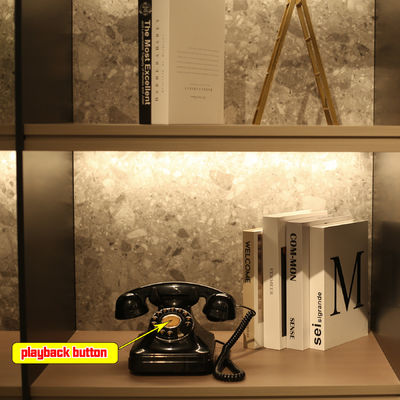 งานแต่งงาน งานฉลอง โทรศัพท์ หนังสือแขก เสียงชัดเจน โทรศัพท์วินเทจ เครื่องบันทึกเสียง